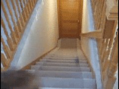 Быстро спускается с лестницы за мячом