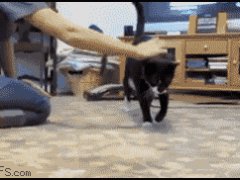Перевернулась через себя