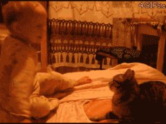 Ответ на грубое обращение