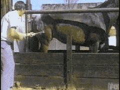 Не стала терпеть