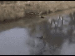 Посадка на льду