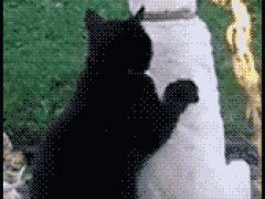 Ласковый массаж