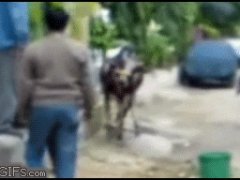 Ударила обеими ногами в лицо