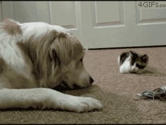 Игра в пятнашки