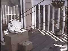 Ловушка для белки сработала отлично