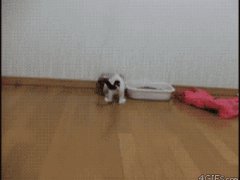 Не любит, когда её снимают