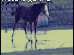 Тяжело устоять на льду
