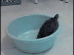Из одной тюрьмы в другую