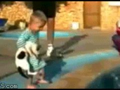 Кошка оказалась ловче