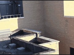 Парный паркур