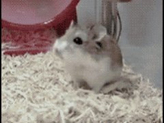 Выскочил из колеса