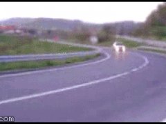 Обошлось без аварий