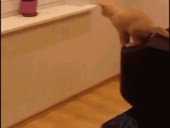 Отскочила от подоконника