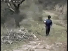 Любитель прыгать по лужам