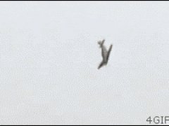 Очень рискованный полёт