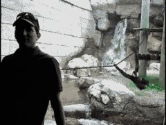 Разыграли обезьянку