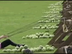 Арбузом прямо в лицо