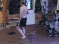 Приклеенные сланцы