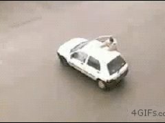 Собака отлично справилась