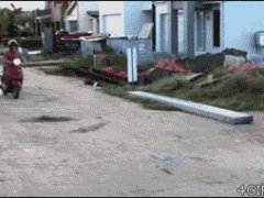 Так и остался в песке