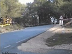 Дерево спасло жизнь человеку