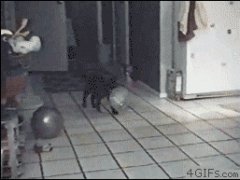Неожиданное исчезновение