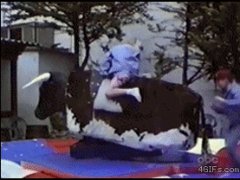 Родео на двоих