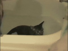 Убежала из ванны