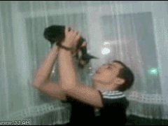 Надувная собачка