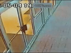 Медведь ворвался в школу