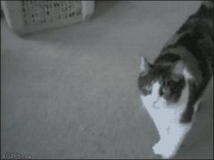 Фальшивая замена
