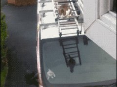 Прыжок с машины на крышу дома