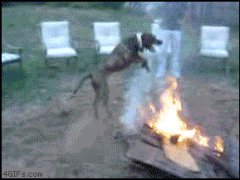 Прыгающая через огонь