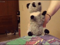 Любительница мягких игрушек