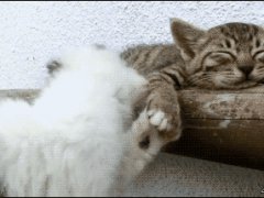 Не дающий спокойно поспать