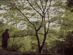 Вертящийся паркур