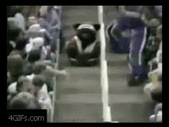 Медведь на доске