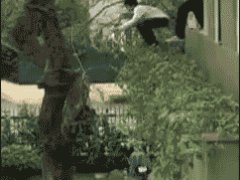 Неуклюжий прыжок на дерево