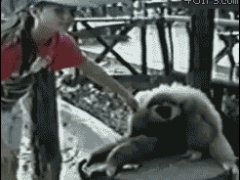 Почеши меня здесь