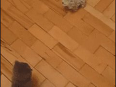 Прыжок на плюшевую игрушку
