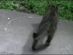 Улеглась в неудобном месте