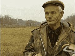Обычная реакция на аварию