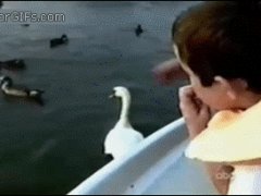 Выхватил печенье из рук