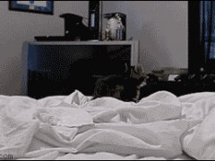 Крабовая походка