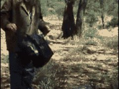 Как поймать кенгуру