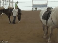 Лягнула обеими копытами в воздухе