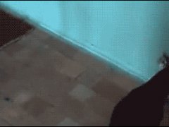 Махание в воздухе