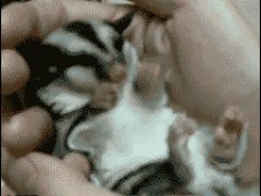 Кошмары во сне