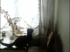 Немного не допрыгнула