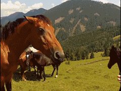 Неожиданно укусила за руку